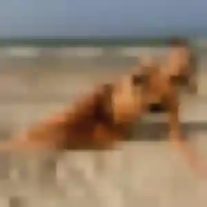 Sexy Karen, 29 ans à Ville-en-Tardenois - découvrir son profil