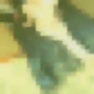 Celia, 38 ans, en ligne à Villefranche-de-Lauragais pour une rencontre coquine