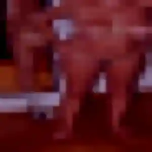 Anne-Laure, 29 ans, disponible à Villemotier pour une rencontre coquine
