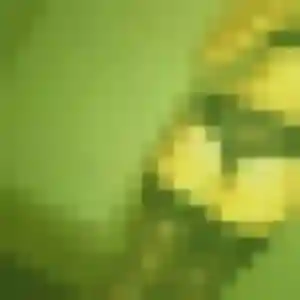 Priscilla, 35 ans, cherche un plan cul à Villeneuve-d'Olmes
