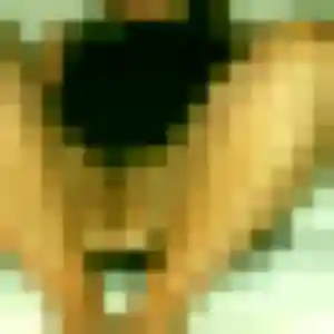 Soraya, 36 ans, en ligne à Villennes-sur-Seine pour une rencontre coquine