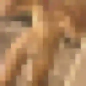 Ghislaine (40 ans) à Villenouvelle cherche un plan cul ce soir