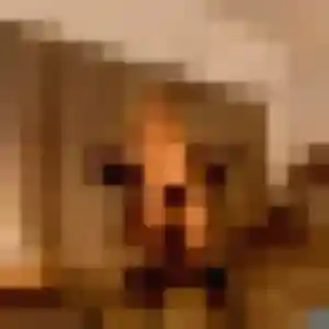 Laure, 27 ans, connectée à Villentrois-Faverolles-en-Berry pour une rencontre coquine