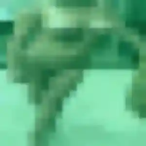 Belle Lou-Anne, 28 ans à Villesèquelande - la contacter