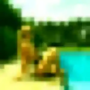 Kelly, 33 ans, dispo pour plan cul à Villiers-sur-Marne