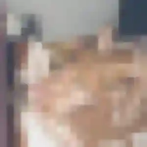 Profil de Josiane à Virey-le-Grand (35 ans) - plan cul gratuit
