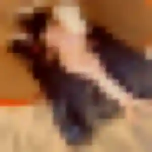 Ava, femme de 22 ans veut plan cul à Vouzeron