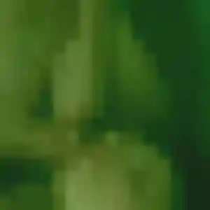 Photo de Violette à Wangen (41 ans) - plan cul discret