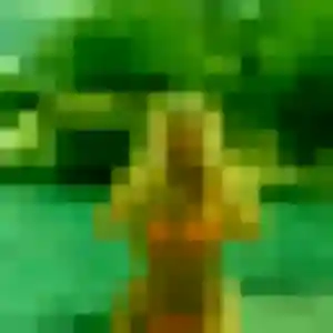 Photo exclusive de Thais, 31 ans à Wattwiller - rencontre coquine