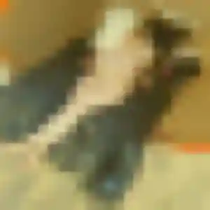 Photo privée de Emma, 30 ans à West-Cappel - plan discret