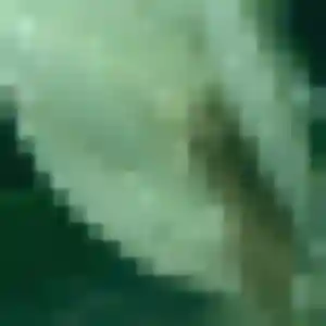 Urielle, 36 ans, dispo pour plan cul à Wimmenau
