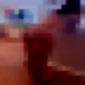 Photo perso de Fabienne, 32 ans à Wissembourg - rencontre sans lendemain