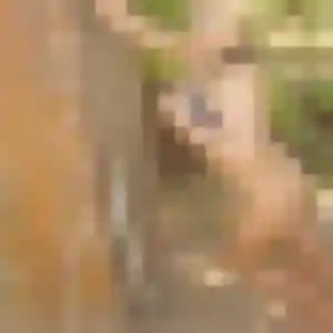 Wendy, 25 ans, veut un plan cul à Wissembourg
