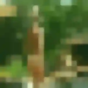 Découvre Bianca, 38 ans à Yronde-et-Buron en privé