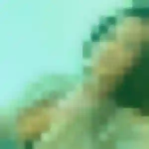 Fiona, 24 ans, dispo pour plan cul à Zudausques
